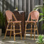 Wicker Bar Stool with Aluminum Frame - Set of 2