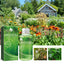 Plant Nutrient, Plant Fertilizer Flower Potted Lawn Green Leaf Root Growth Nutrient - Korvel