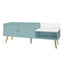 Modern Tiffany Blue Shoe Storage Bench with Cushions