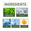 Herbal Acne Cream Hydrates, Moisturizes, Improves Skin, Details Pores, And Lightenes Blemishes - Korvel
