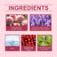 Rose Fragrance Fresh Powder Perfume, Natural Fragrance Niche Charming Charm Perfume Pheromone Fragrance Eau De Toilette - Korvel