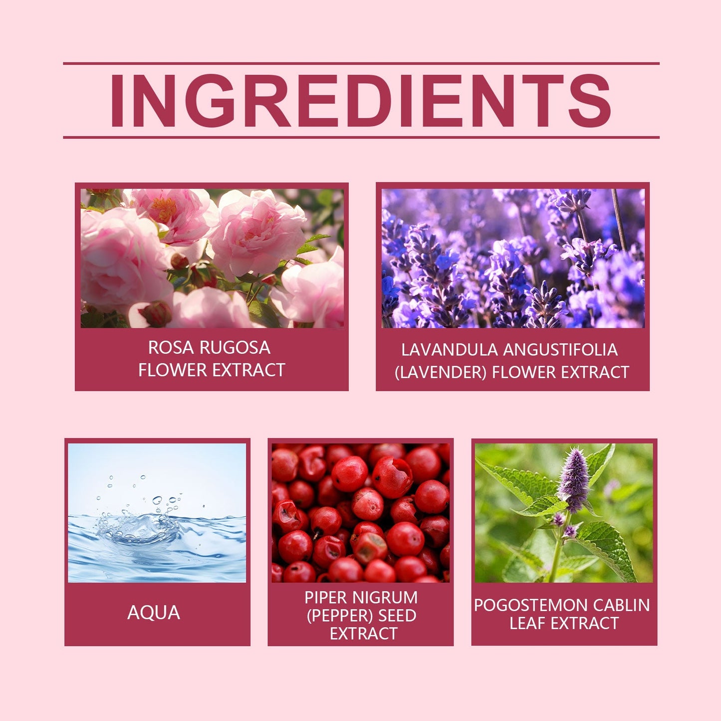 Rose Fragrance Fresh Powder Perfume, Natural Fragrance Niche Charming Charm Perfume Pheromone Fragrance Eau De Toilette - Korvel