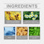 Herbal Inhaler Gently Cleans The Nose And Relieves Discomfort With A Light Nasal Treatment Stick - Korvel