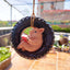 Cute Piggy Reading Tire Courtyard Garden Outdoor Hanger - Korvel
