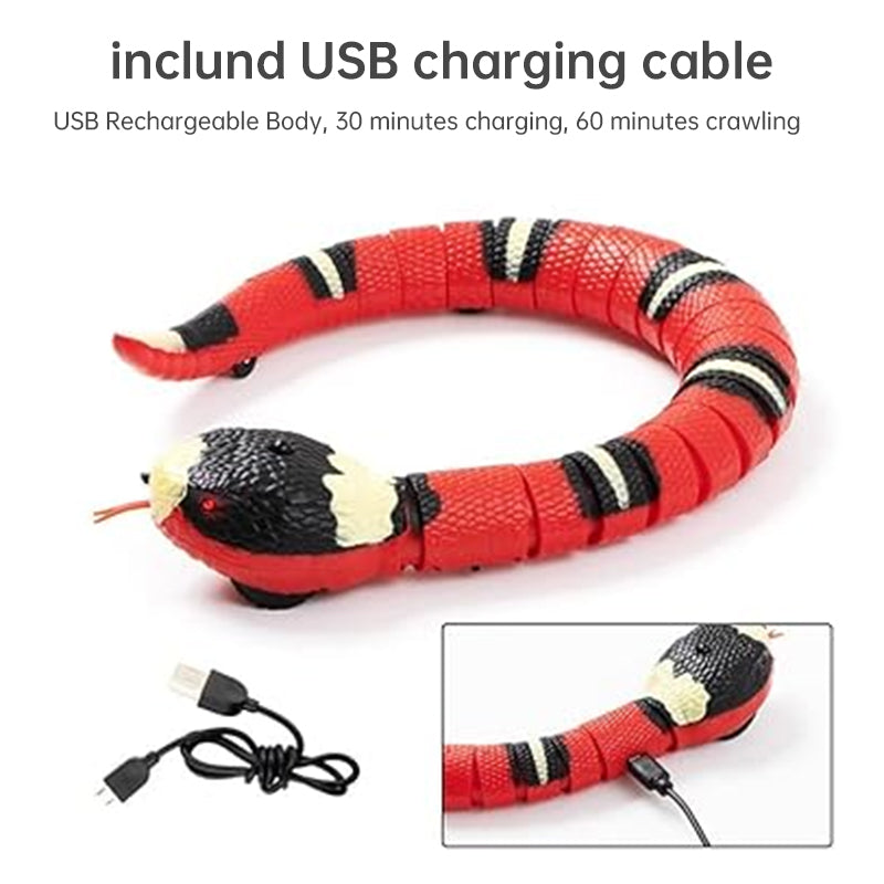 USB Rechargeable Interactive Cat Toy with Smart Sensing, an Automatic Electronic Snake for Kittens' Indoor Play. - Korvel