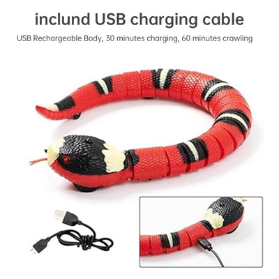 USB Rechargeable Interactive Cat Toy with Smart Sensing, an Automatic Electronic Snake for Kittens' Indoor Play. - Korvel