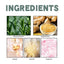 Rosemary Ginger Scent Experience Perfume, Natural Fragrance Behind The Ear And Wrist For Women - Korvel