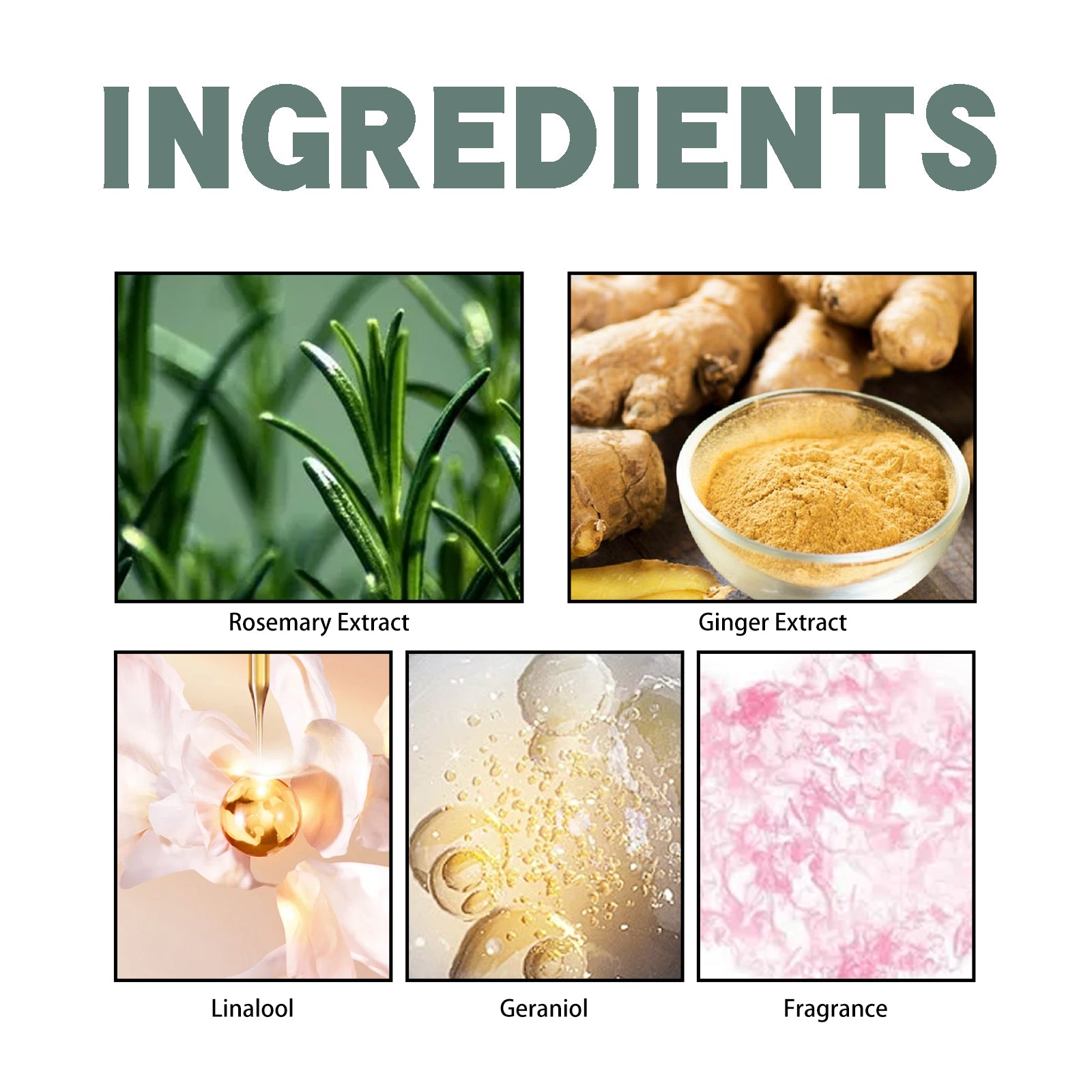 Rosemary Ginger Scent Experience Perfume, Natural Fragrance Behind The Ear And Wrist For Women - Korvel