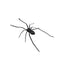 Plastic Spider as Decoration - Novelty Ornament - Korvel