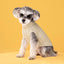 Autumn and winter pet dog cat warm solid color classic Fried Dough Twists sweater thickened turtleneck sweater - Korvel