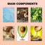 Body Oil Handmade Cinnamon Bun Flavor - Korvel