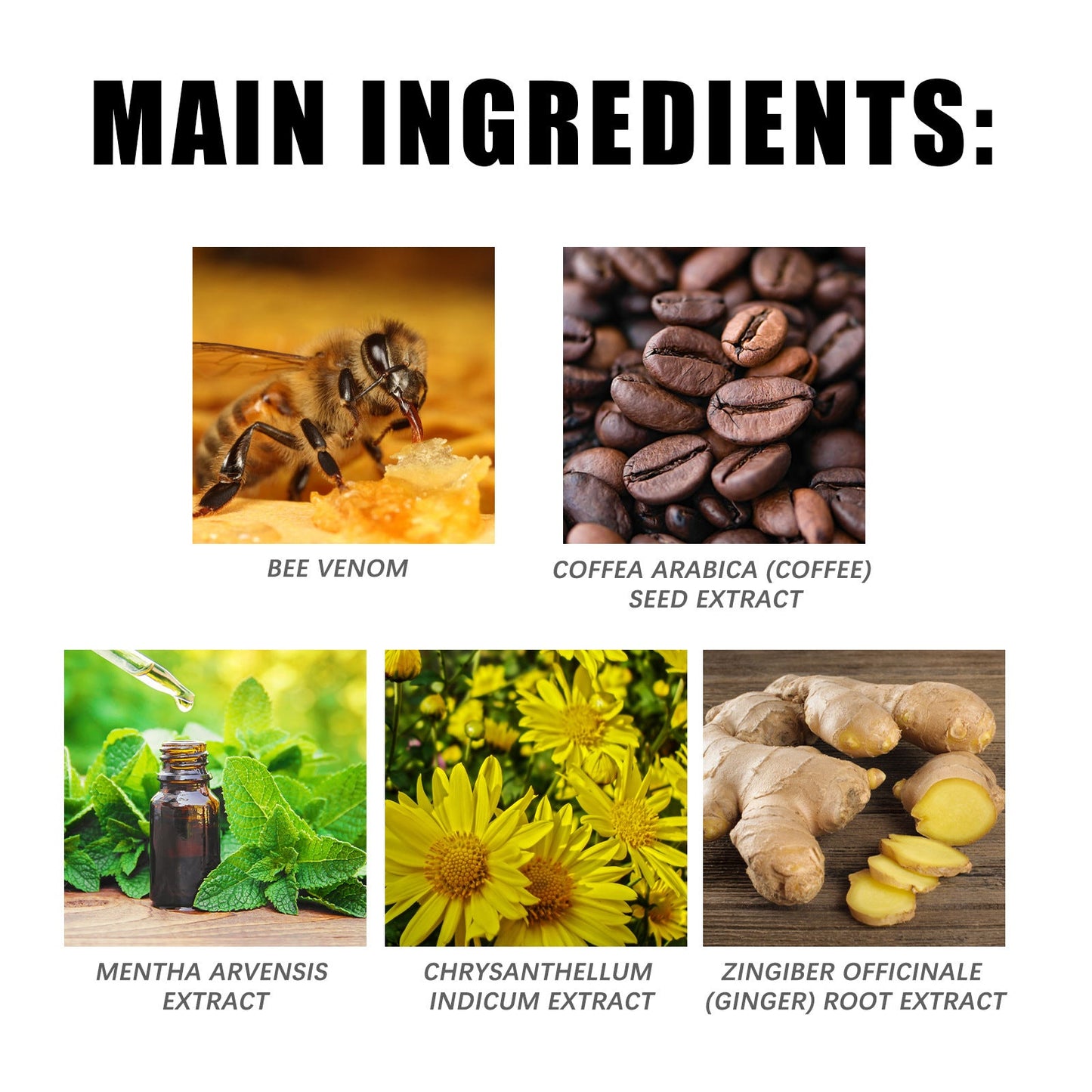 Bee Venom Care Cream Gentle Light Care Firming Muscle Curves Body Moisturizing Moisturizer - Korvel