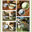 Dog Feeders Folding Silicone Bowl Outdoor Travel Foldable Portable Cat Dog Food Water Container Feeding Tray Bowl Pet Supplies - Korvel