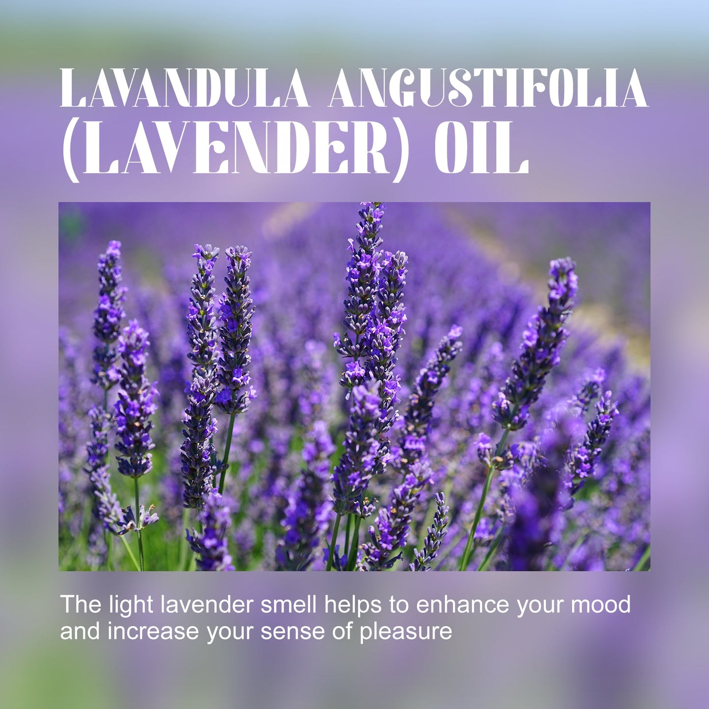 Lavender Essential Oil for Relaxation and Skin Care