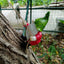 Climbing Elf Balcony Decoration Pendant