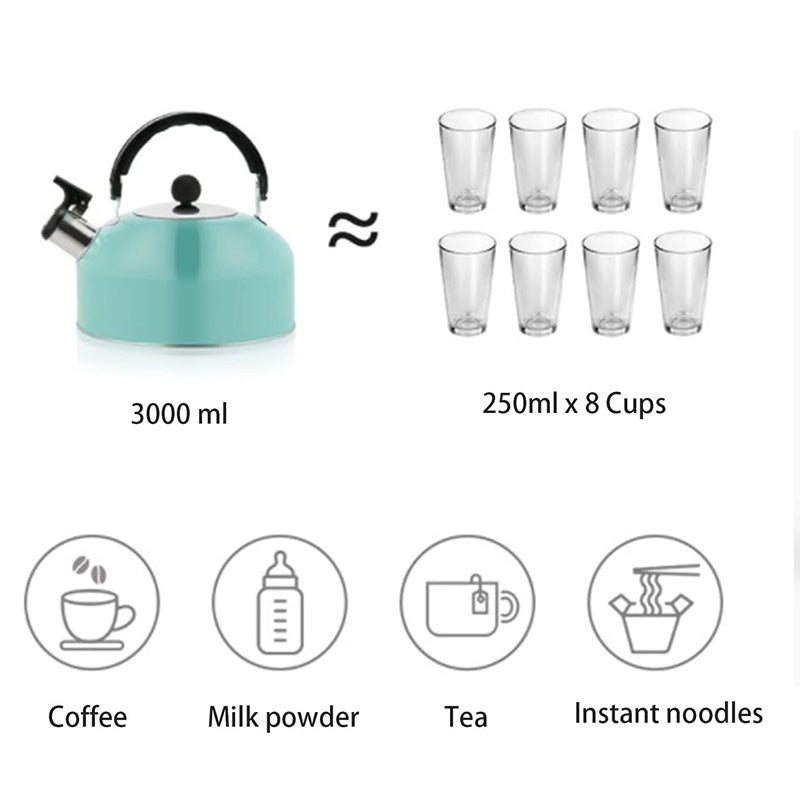 A 3L stainless - steel kettle for gas heating. It features a whistle and a comfortable handle, suitable for cooking and tea. - Korvel
