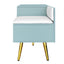 Modern Tiffany Blue Shoe Storage Bench with Cushions
