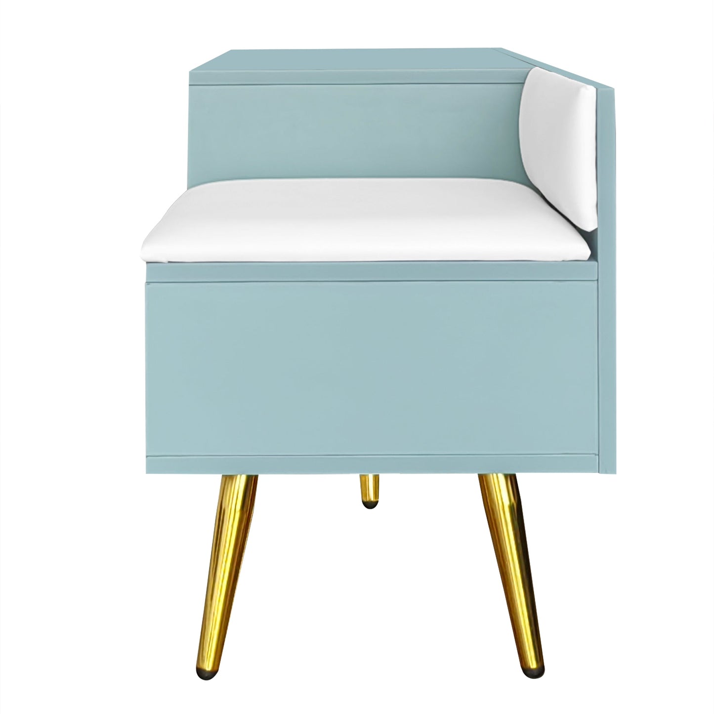 Modern Tiffany Blue Shoe Storage Bench with Cushions