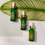 Tree of Life Facial Skin Care Set - Trio Power Kit
