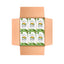 Té Verde Moringa Orgánico - Mezcla Herbal Premium