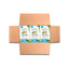 Organic Moringa Tea - Original Flavor