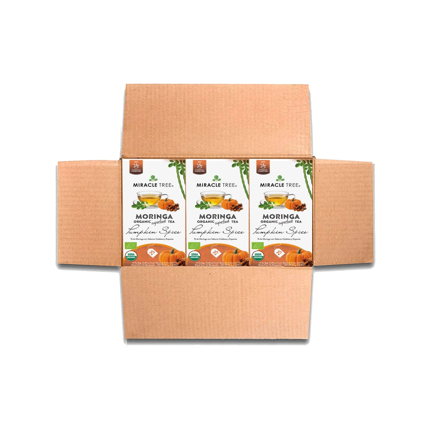 Thé Moringa Bio avec Épices de Citrouille