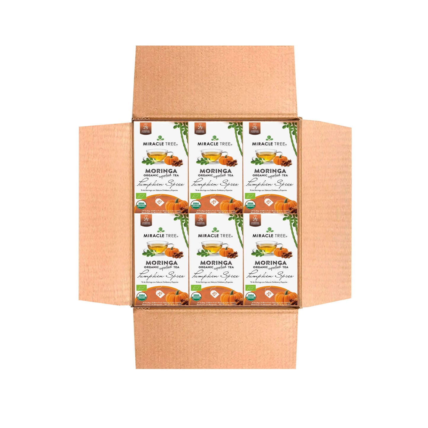 Thé Moringa Bio avec Épices de Citrouille
