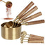 Precision Measuring Cups and Spoon Set