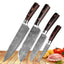 Juego de cuchillos de cocina Carpenter's Special de 6 piezas