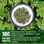 Basilic Séché Premium – 100% Pur, Non-OGM, Sans Gluten, Végétalien