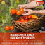 Premium Tomato Powder – 100% Pure Dehydrated Tomato