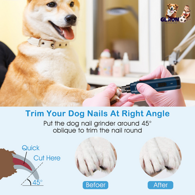 GBruno Premium Dog Nail Grinder