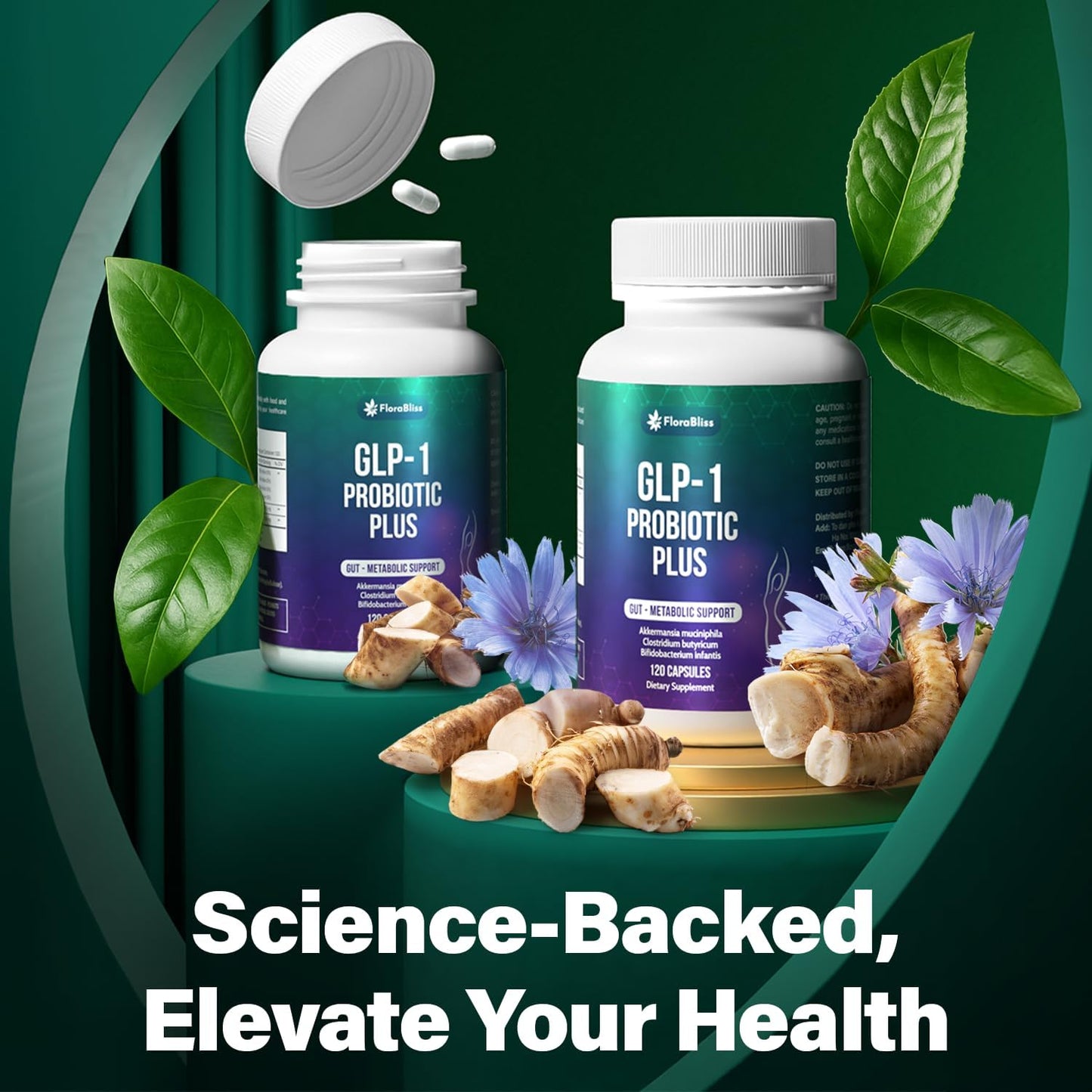 Capsules Probiotiques Premium avec Soutien Prébiotique