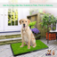 Gbruno Almohadilla de Entrenamiento para Perros con Césped Artificial
