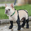 Zapatos para Perros Ajustables e Impermeables para Aventuras al Aire Libre