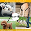 Ceinture de sécurité pour chien GBruno sans les mains - Pack de 2