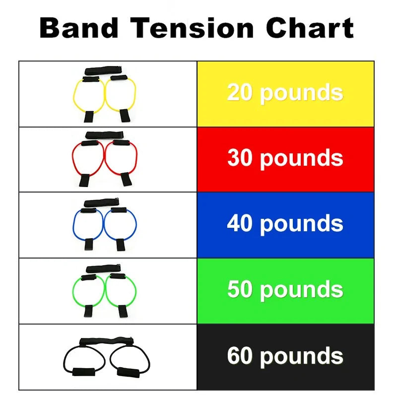 Juego de Bandas de Resistencia Premium para Caderas
