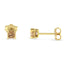 Pendientes de diamante en corte princesa de 3/8 Cttw certificados por IGI en oro de 14K
