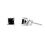 Pendientes de Stud de Diamante Negro en Corte Princesa de Oro Blanco de 14K