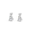 14K White Gold Double Diamond Drop Earrings
