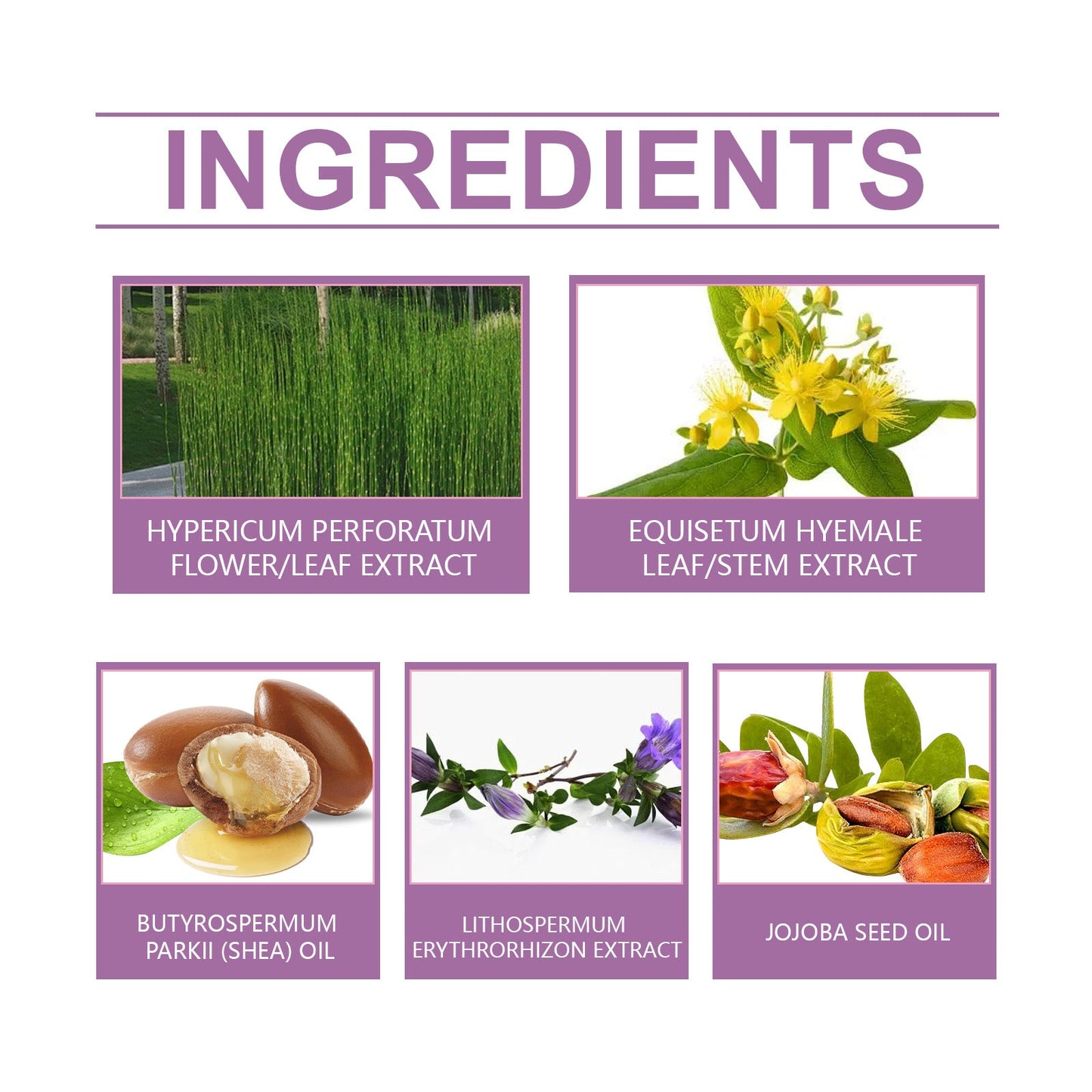 Crema de Cuidado Herbal para la Comodidad de Codos y Rodillas