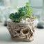 New Resin Plant Grass Skull Flowerpot Creative Indoor Skull Shape Potted Skeleton Craft Ornaments - Korvel