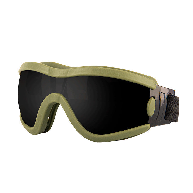 Lunettes de soleil élégantes pour animaux de compagnie avec protection UV