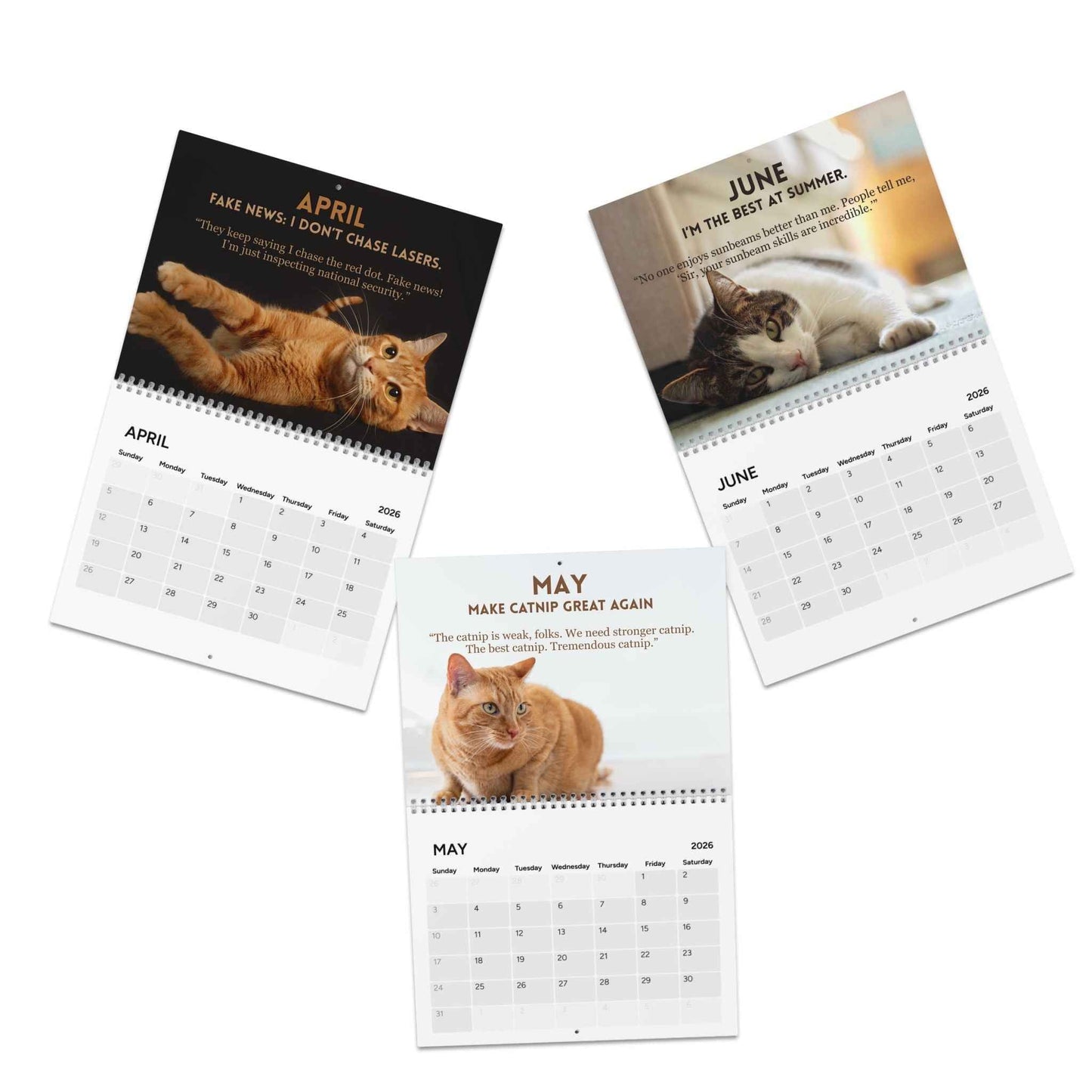 Calendrier 2026 L'Art du Ronronnement