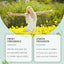 Clear Fragrance Type Solid Balm Fresh Charm Light Elegant Charm Keep Fragrance Fresh Non-Sticky Solid Balm - Korvel