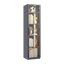 Single door display cabinet - Korvel