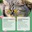 Premium Cat Grass Tablets for Nutrient Absorption