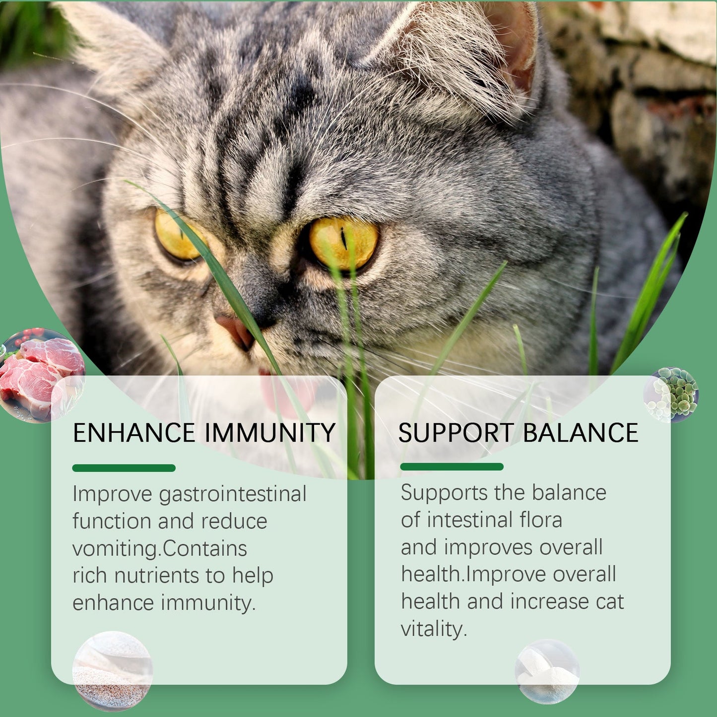 Premium Cat Grass Tablets for Nutrient Absorption