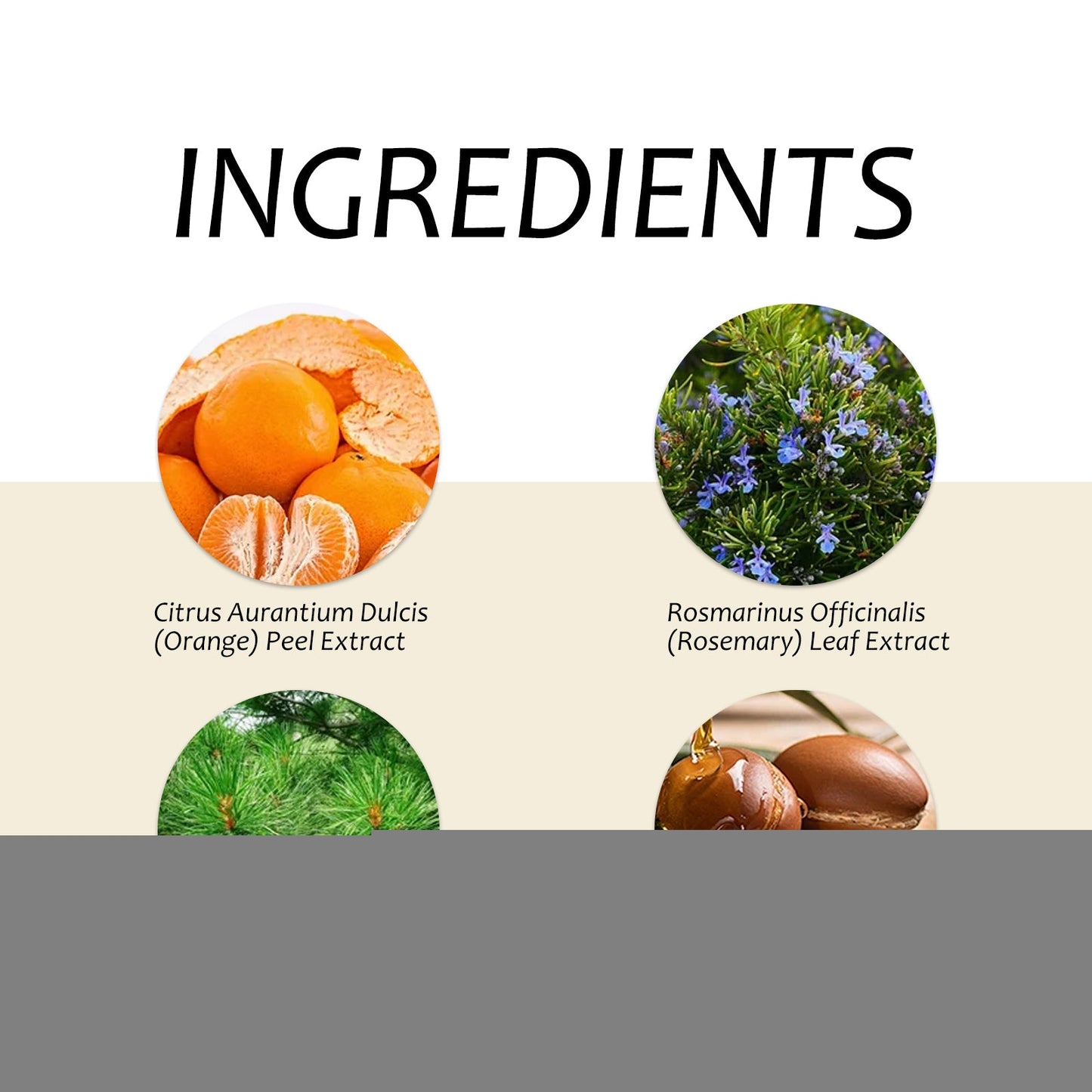 Nourishing Hand Sanitizer with Citrus Extract