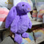Jouet en Peluche Lapin Brodé - Compagnon Doux et Câlin